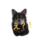 トコきち（個別スタンプ：4）