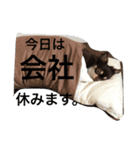 トコきち（個別スタンプ：8）