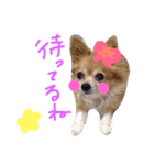 りぼんおばあちゃんとあやとくん（個別スタンプ：12）