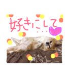 りぼんおばあちゃんとあやとくん（個別スタンプ：19）