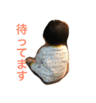 みなとんのスタンプ（個別スタンプ：12）