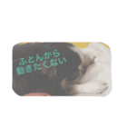 ゆるーいティン君スタンプ（個別スタンプ：8）