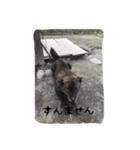 くろっぴー（個別スタンプ：2）