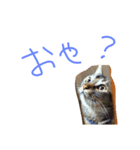 Soraスタンプ（個別スタンプ：2）