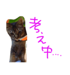 Soraスタンプ（個別スタンプ：4）