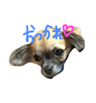 イブ、、（個別スタンプ：7）