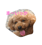 Lonly jera（個別スタンプ：1）