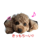 Lonly jera（個別スタンプ：2）