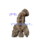 Lonly jera（個別スタンプ：3）