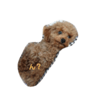 Lonly jera（個別スタンプ：5）