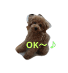 Lonly jera（個別スタンプ：11）
