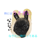 戸谷家の犬たち2（個別スタンプ：1）