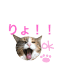 ふくにゃんスタンプ（個別スタンプ：11）