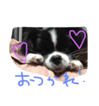 もこすたんぷ（個別スタンプ：3）