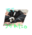 もこすたんぷ（個別スタンプ：4）