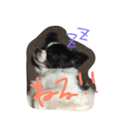 もこすたんぷ（個別スタンプ：5）