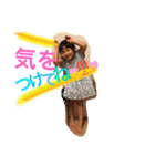うちの子たちです( ᵕ́ૢ‧̮ᵕ̀ૢ)‧̊·*（個別スタンプ：14）