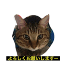 ロトの冒険（個別スタンプ：2）