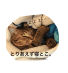 ロトの冒険（個別スタンプ：3）