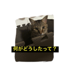 ロトの冒険（個別スタンプ：4）