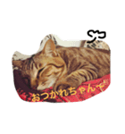ロトの冒険（個別スタンプ：8）