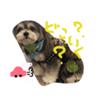 ワンスタンプ（個別スタンプ：8）