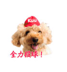 チロル・くうのワンコント（個別スタンプ：39）