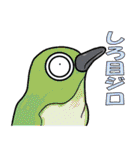 鳥と鳥と鳥と、そして...（個別スタンプ：35）