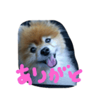 ラブちゃんの日常3（個別スタンプ：14）