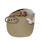 坊っちゃんスタンプ②（個別スタンプ：4）