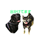nichijyo aiken（個別スタンプ：9）