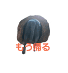 nichijyo aiken（個別スタンプ：17）
