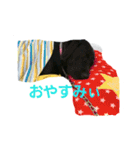 nichijyo aiken（個別スタンプ：22）