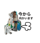 Yusei  K.Stamp（個別スタンプ：6）