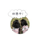 ミニチュアダックス寧寧と愉快な仲間達 2（個別スタンプ：22）