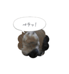 ミニチュアダックス寧寧と愉快な仲間達 2（個別スタンプ：27）