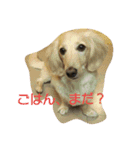 くきおの毎日（個別スタンプ：1）