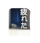 くきおの毎日（個別スタンプ：4）