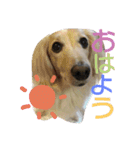 くきおの毎日（個別スタンプ：7）