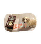 くきおの毎日（個別スタンプ：8）