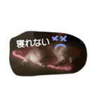 くきおの毎日（個別スタンプ：11）