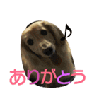 くきおの毎日（個別スタンプ：12）