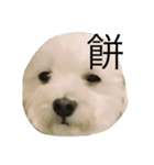 めーぷるさん（個別スタンプ：2）