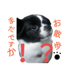モコたんの日常(U´・ェ・)（個別スタンプ：4）