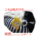モコたんの日常(U´・ェ・)（個別スタンプ：5）