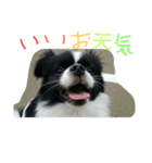 モコたんの日常(U´・ェ・)（個別スタンプ：7）