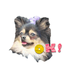 pome Moca2（個別スタンプ：14）