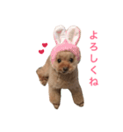 かわいいアポロくん（個別スタンプ：4）