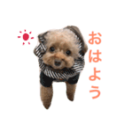 かわいいアポロくん（個別スタンプ：5）