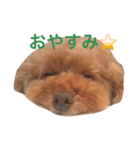 かわいいアポロくん（個別スタンプ：6）